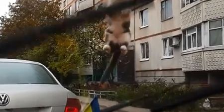 Video: Cat’s meeting with windscreen wipers does not end at all well