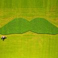 Pic: County Derry farmer brilliantly mows gigantic moustache into his field in aid of Movember