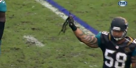 GIF: An NFL player pulls opponent’s dreadlocks off during a tackle