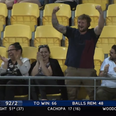 Video: New Zealand cricket fan impresses players with this epic catch…