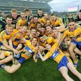 Eight of the best for the Banner as All-Ireland Champs dominate hurling All-Star side
