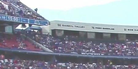Video: NFL fan falls from the upper deck of the stadium and survives
