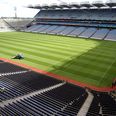 Pic: Possibly the coolest back garden GAA pitch ever…