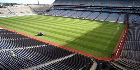Pic: Possibly the coolest back garden GAA pitch ever…