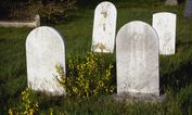 Man fined by judge for pretending to be a ghost in a graveyard