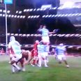 Video: Huge hit as Richard Hibbard of Wales crunches his Argentine opponent