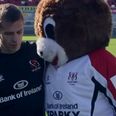 Video: Paul Marshall is the Ulster Rugby crossbar challenge king