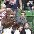 Video: Huston Rockets fan pours beer over Utah Jazz Bear mascot