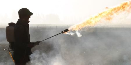 Pic: Oxford Christmas Party gets out of hand when student with flamethrower shows up