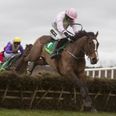 The Tote Beginner Guide to Leopardstown this Stephen’s Day