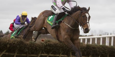 The Tote Beginner Guide to Leopardstown this Stephen’s Day