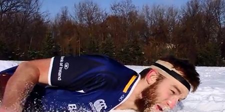 Video: Leinster fan exiled in Canada makes brilliant video plea to be brought home for Northampton game