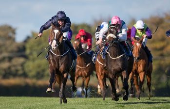 Ladbrokes’ Hayley O’Connor shares her tips for today’s racing