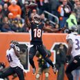 Five of the best catches from this year’s NFL action