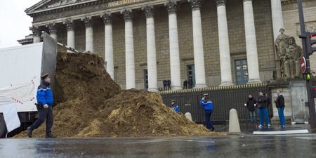 Gallery: Oh Merde… Big pile of sh*t dumped outside the French national parliament