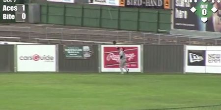 Video: Australian baseball player crashes through fence catching ball
