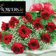 [Competition Closed] Get Valentine’s Day off to a great start with a Dramatic Dozen from Flowers.ie