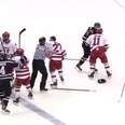 Video: College ice hockey match ends in mass brawl