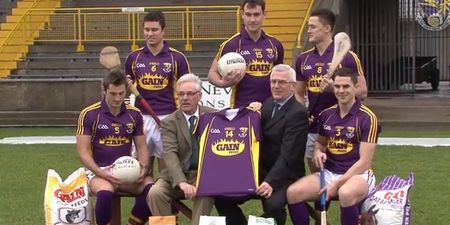 Pic: What do you make of the new Wexford GAA jersey?