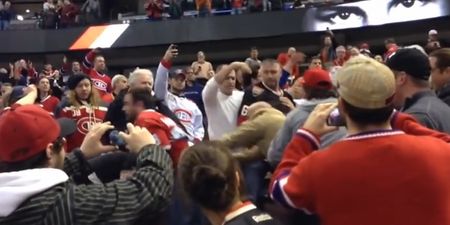 Vine: Fans brawl in the stands because no amount of fighting is enough at an NHL game