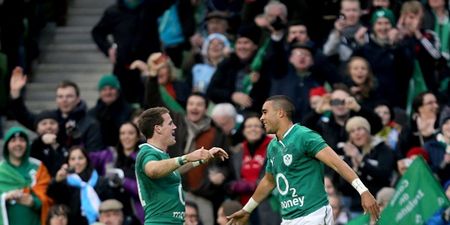 Zebo and Gilroy left out as Schmidt snips Six Nations squad