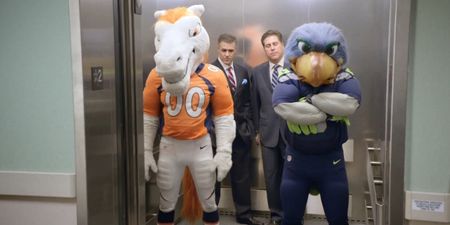 Video: The Broncos and Seahawks mascots have a tiff in the ESPN studios