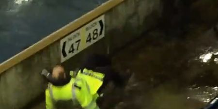 Video: Fight breaks out at Millwall v Sheffield Wednesday game, policeman hilariously falls in a puddle
