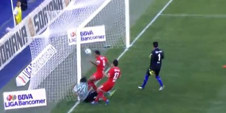 Video: Mexican striker scores great goal but collides horribly with the post in the process