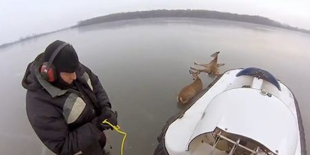 Video: Using a hovercraft is the most badass way to save deer stranded on a frozen lake