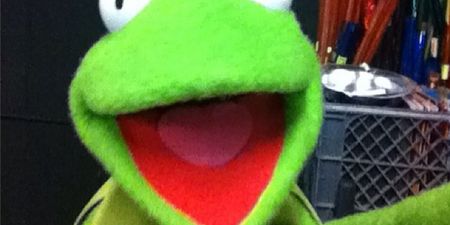“Hi-ho, Instagram gang!” – these Muppet selfies are guaranteed to brighten up your day