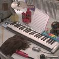The Power of Hair: Request any Huey Lewis song you like from this keyboard playing wig…seriously