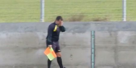 Video: The right call – Referee in Bulgaria chats on his phone during the match