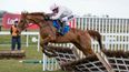 Ladbrokes’ Hayley O’Connor marks your card for Day Three of Cheltenham