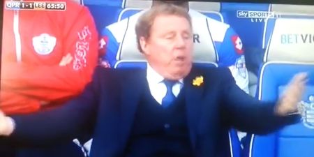 Video: Harry Redknapp rants away to himself during QPR’s 1-1 draw with Leeds