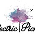 Electric Picnic 2014 line-up is announced