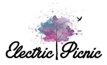 Electric Picnic 2014 line-up is announced