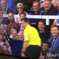 Vine: Linesman gets a helping hand from supporter at Fulham v Everton