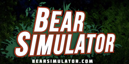 Video: Tired of being a person? Then check out Bear Simulator 2014