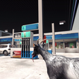 Video: The Goat Simulator official launch trailer is here and it’s spectacular