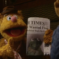 ‘Irish Times is newspaper of choice for Muppets’… according to the Irish Times