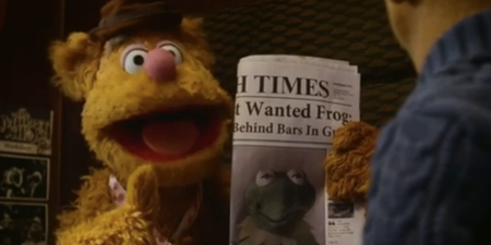 ‘Irish Times is newspaper of choice for Muppets’… according to the Irish Times