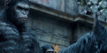 Video: The brand new trailer for Dawn Of The Planet Of The Apes looks fantastic