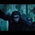 Missed all the new Planet of the Apes stuff shown on TV last night? We have it for you right here