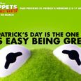 ‘Muppets: Most Wanted’ to preview here in Ireland FIRST!
