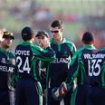 Video: Yet another dramatic sporting victory for the Irish as Ireland beat Zimbabwe in cricket