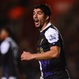 Desperate Gunners fan sets up petition demanding Liverpool release Luis Suarez and pay Arsenal compensation