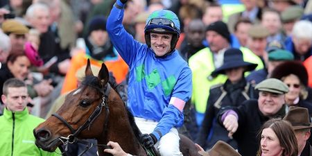 Hayley O’Connor’s Champion Hurdle preview