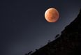 Red Moon Rapture: JOE takes a look at ‘tetrads’ and why people are claiming the ‘End of Days’