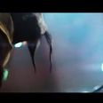 Video: New Teenage Mutant Ninja Turtles TV ad gives us a first look at Splinter