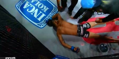 GIF: MMA fighter blacks out between rounds, is sent back in to continue fight